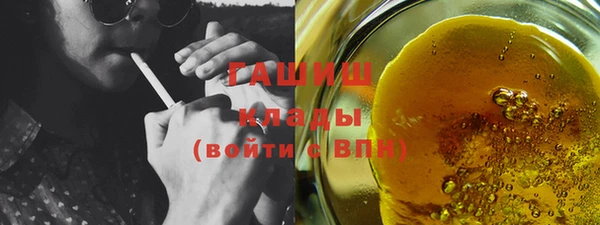 дживик Няндома