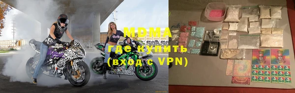 прущие грибы Новозыбков