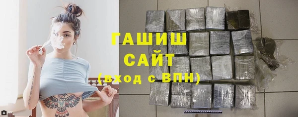дживик Няндома
