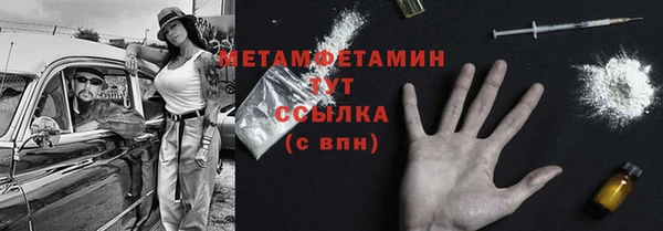 прущие грибы Новозыбков