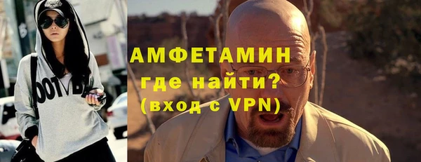 прущие грибы Новозыбков