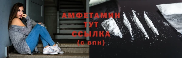 дживик Няндома