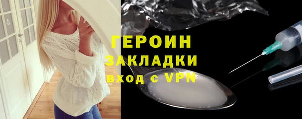 прущие грибы Новозыбков