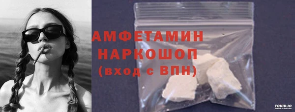 дживик Няндома