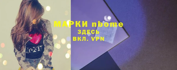 дживик Няндома