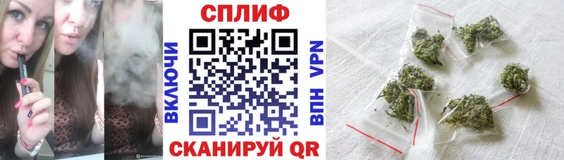 ссылка на мегу ТОР  продажа наркотиков  Почеп  Каннабис SATIVA & INDICA 